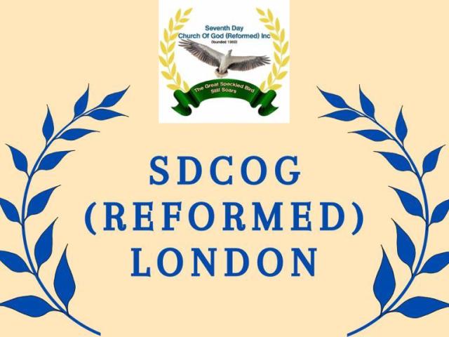 sdcog