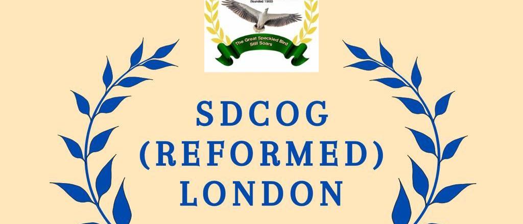 sdcog